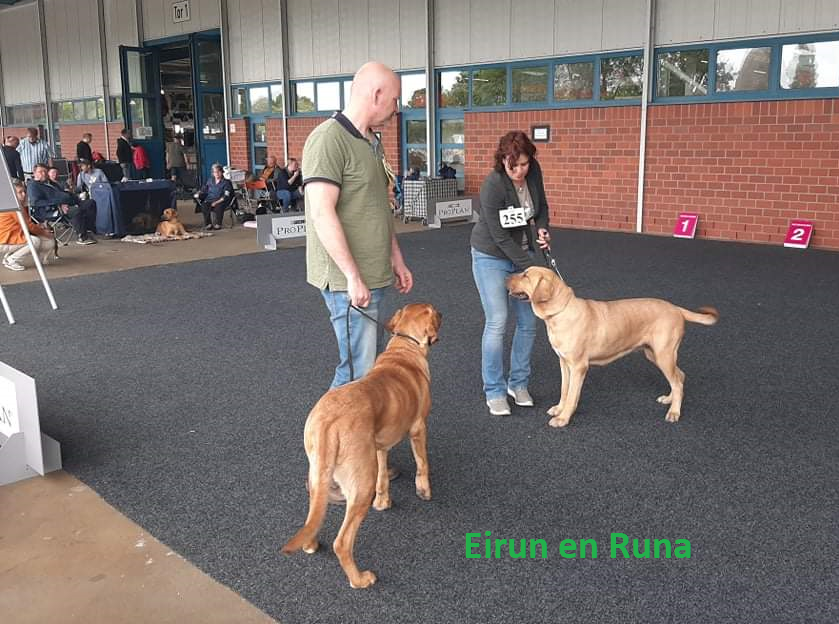 Eirun&Runa